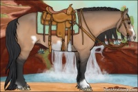 Horse Color:Bay Dun Frame Rabicano 