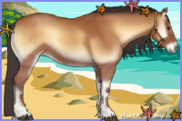 Horse Color:Bay Onyx 