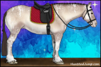 Horse Color:Classic Champagne Ice Roan Onyx 