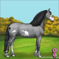 Horse Color:Grullo Chinchilla Frame Brindle 