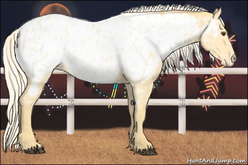 Horse Color:Palomino Dun Near Leopard 