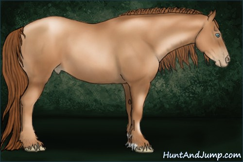 Horse Color:Gray Gold Champagne Pearl