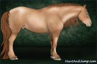 Horse Color:Gray Gold Champagne Pearl