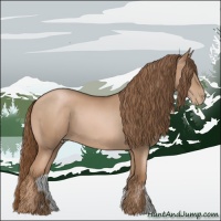 Horse Color:Liver Chestnut Pearl
