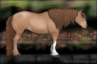 Horse Color:Brown Pearl 