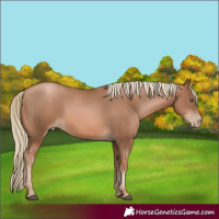Horse Color:Liver Chestnut Pearl 