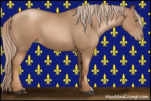 Horse Color:Liver Chestnut Pearl 