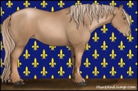Horse Color:Liver Chestnut Pearl 
