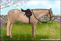 Horse Color:Liver Chestnut Pearl