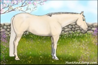 Horse Color:Palomino Pearl