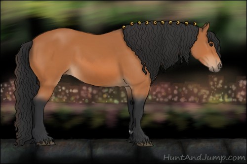 Horse Color:Bay  and Bay Rabicano 