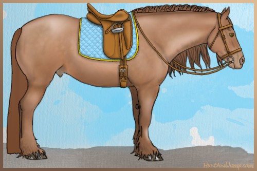 Horse Color:Brown Pearl 