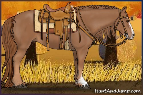 Horse Color:Chestnut Sabino 