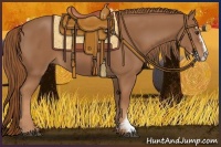 Horse Color:Chestnut Sabino