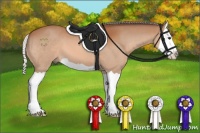 Horse Color:Silver Bay Splash 