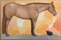 Horse Color:Brown Pearl