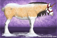 Horse Color:Buckskin Ice Roan Splash 