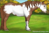 Horse Color:Chestnut Frame