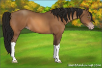 Horse Color:Gray Amber Champagne