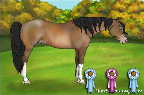 Horse Color:Gray Sable Champagne 