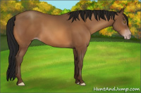 Horse Color:Gray Amber Champagne 