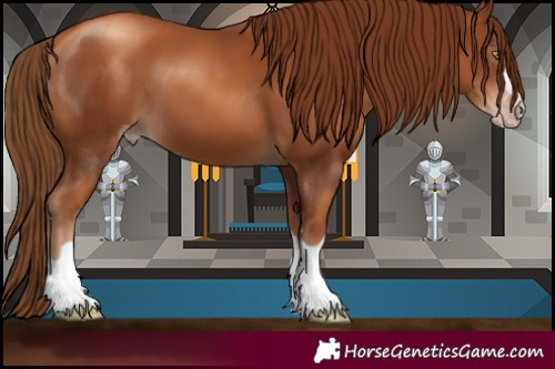 Horse Color:Gray Gold Champagne 