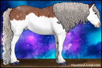 Horse Color:Silver Bay Splash 