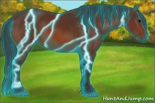 Horse Color:Thunderstruck Bay 