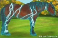 Horse Color:Thunderstruck Bay 