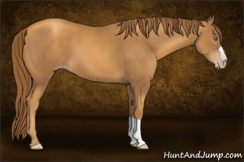 Horse Color:Gray Gold Champagne 