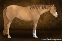 Horse Color:Gray Gold Champagne 
