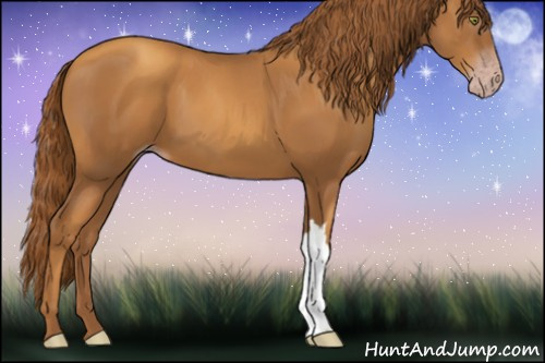 Horse Color:Gray Gold Champagne 