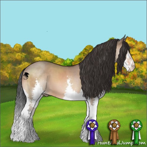 Horse Color:Bay Dun Splash Brindle