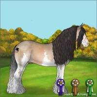 Horse Color:Bay Dun Splash Brindle 
