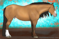 Horse Color:Gray Amber Champagne 