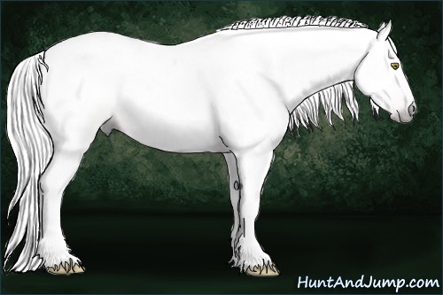 Horse Color:Gray Amber Champagne