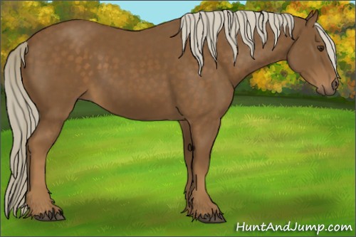 Horse Color:Chocolate Palomino 