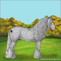 Horse Color:Silver Classic Champagne Chinchilla Dun Brindle 