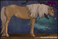 Horse Color:Chocolate Palomino 