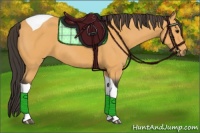 Horse Color:Buckskin Tobiano 