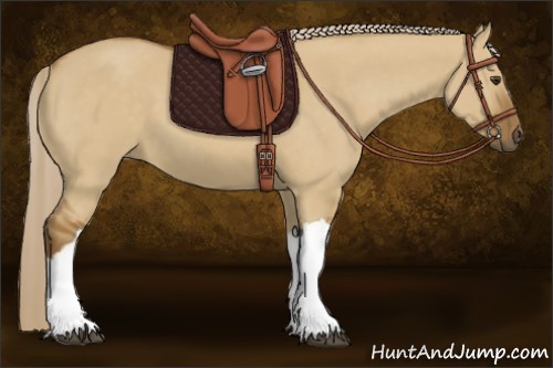 Horse Color:Chocolate Palomino Dun 