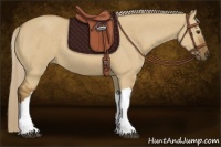 Horse Color:Chocolate Palomino Dun 