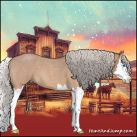 Horse Color:Silver Bay Roan Dun Splash 