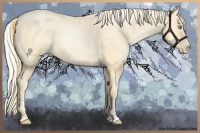 Horse Color:Buckskin Roan Pearl  and Silver Buckskin Roan Pearl 