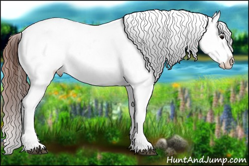 Horse Color:White Spotted Brown Frame Snowcap Rabicano