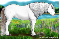 Horse Color:White Spotted Brown Frame Snowcap Rabicano