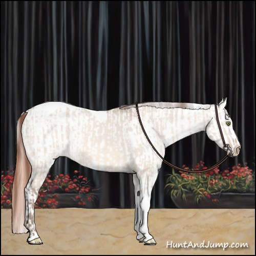 Horse Color:Amber Champagne Dun Sabino Tobiano Varnish  and Amber Champagne Dun Sabino Tobiano Varnish 