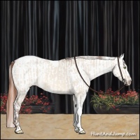 Horse Color:Amber Champagne Dun Sabino Tobiano Varnish and Amber Champagne Dun Sabino Tobiano Varnish