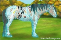 Horse Color:ERROR: UNKNOWN ANOMALY and ERROR: UNKNOWN ANOMALY