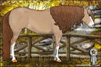 Horse Color:Red Dun Sabino